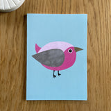 Animal Notebook (various designs)