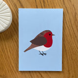 Animal Notebook (various designs)
