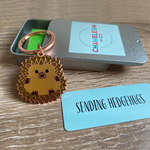 sending hedgehugs keyring gift, sending hedgehugs gift, virtual hug gift, letterbox gift, lockdown gift for friend, sending hugs gift