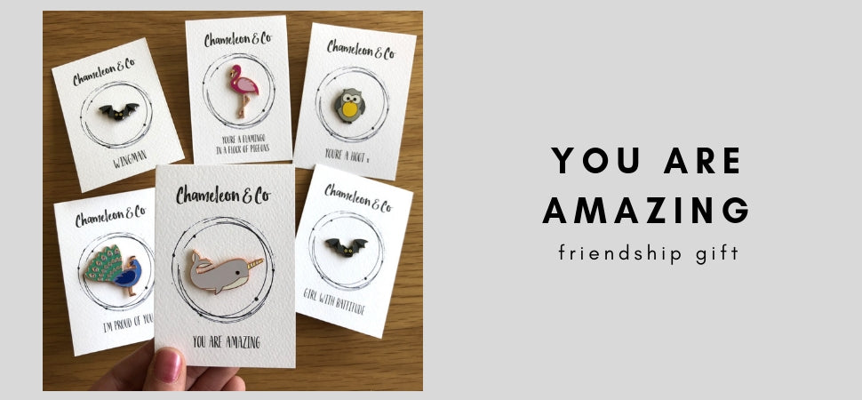 friendship gift, positive message gift, you are amazing gift for friend